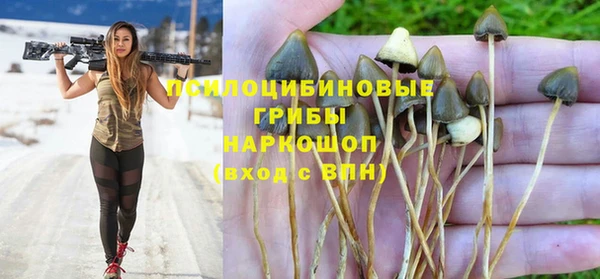 стафф Абаза